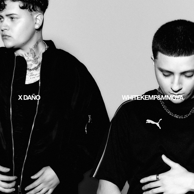 X DAÑO cover art