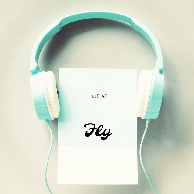 Fly cover art