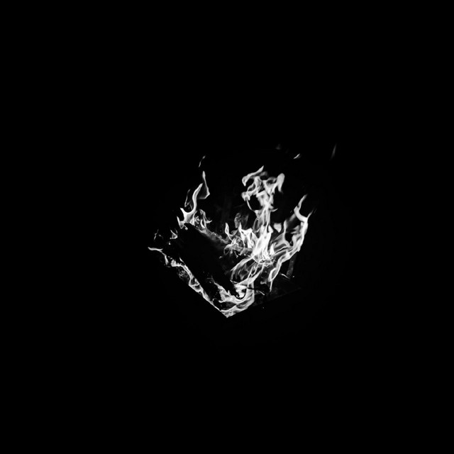 Everybody Leaves cover art