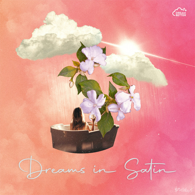 Dreams in Satin