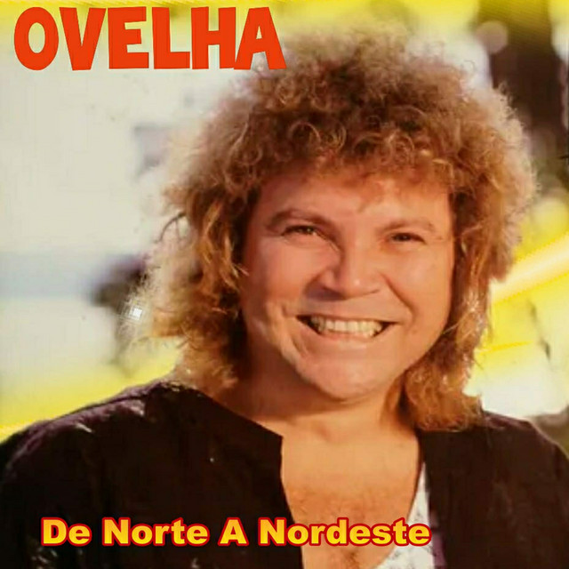 De Norte a Nordeste cover art