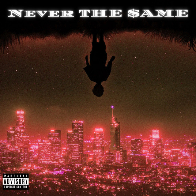 NEVER THE $AME cover art