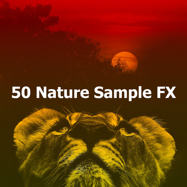 50 Nature Sample FX - Album by Kings of Nature | Spotify