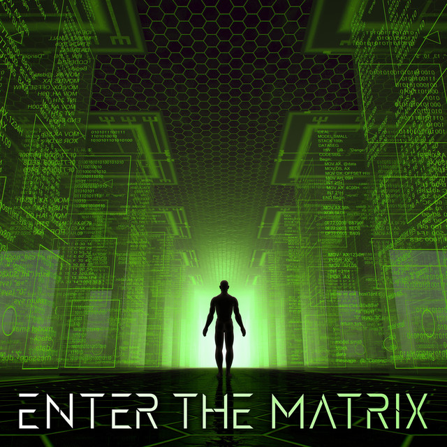 Enter The Matrix cover art