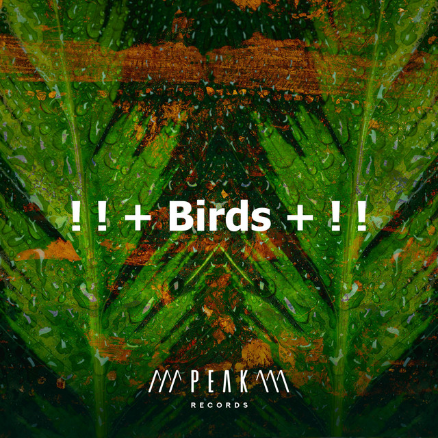 Birds + ! ! - Album by Pro Sounds of Nature | Spotify