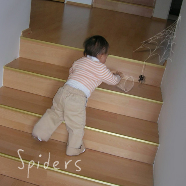 Spiders cover art