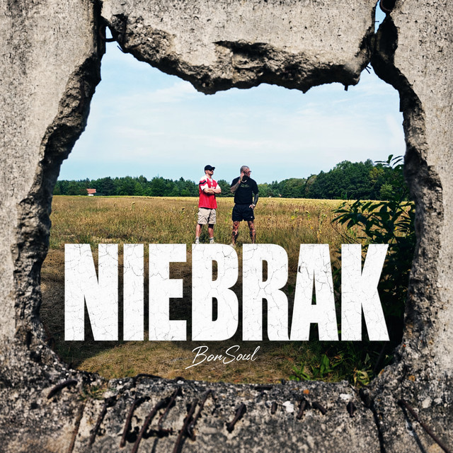 Niebrak cover