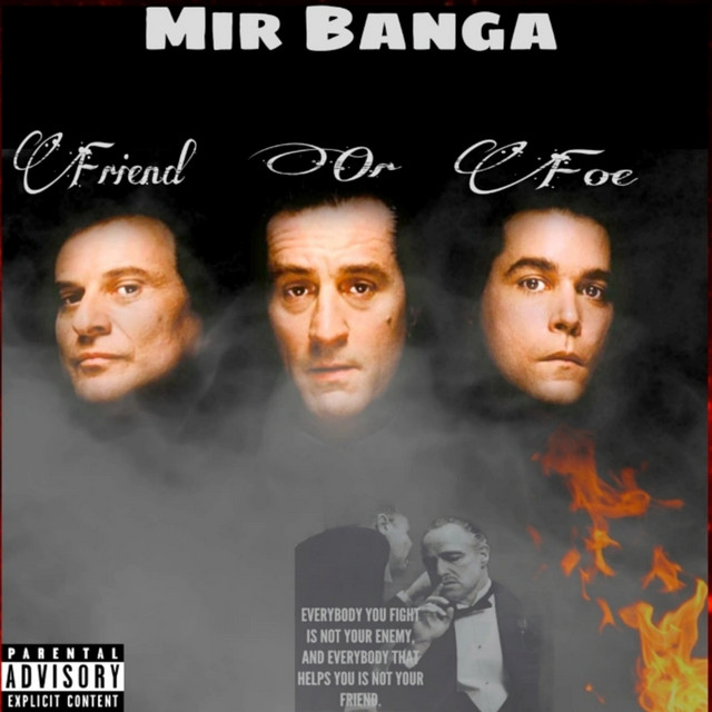 Friend or Foe - song and lyrics by Mir Banga | Spotify