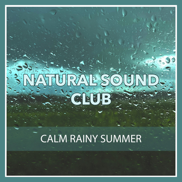 Calm Rainy Summer cover art