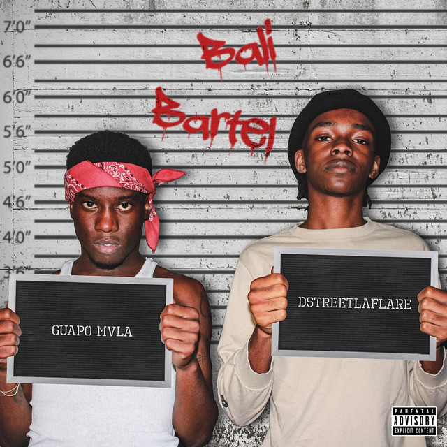 Bali Bartel cover art