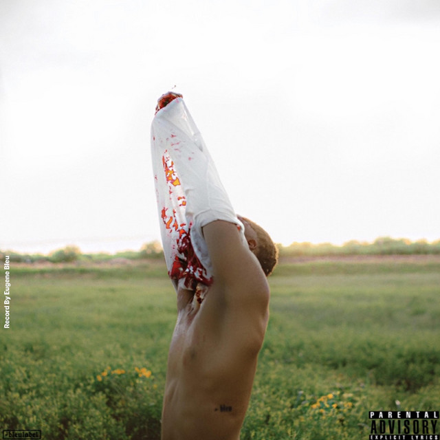Baby Bleu cover art