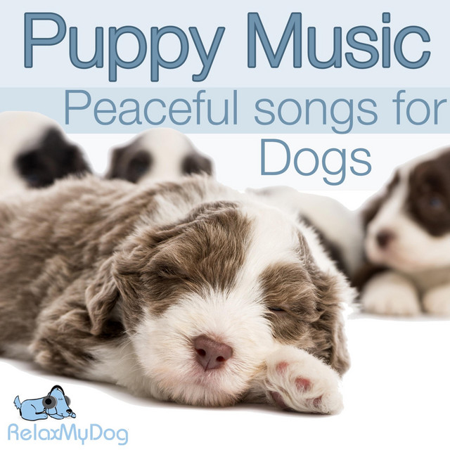 Puppy Music - Peaceful Songs for Dogs cover art
