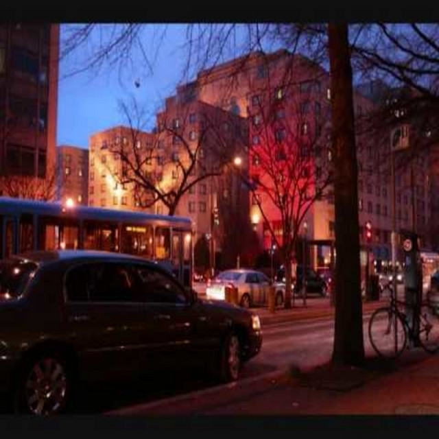 City Night Beauty Bump - Original