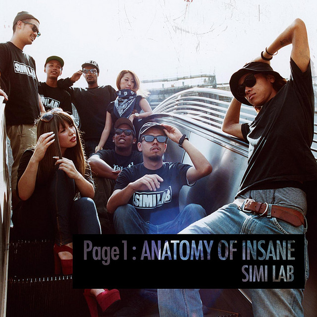 Page 1 : ANATOMY OF INSANE cover art