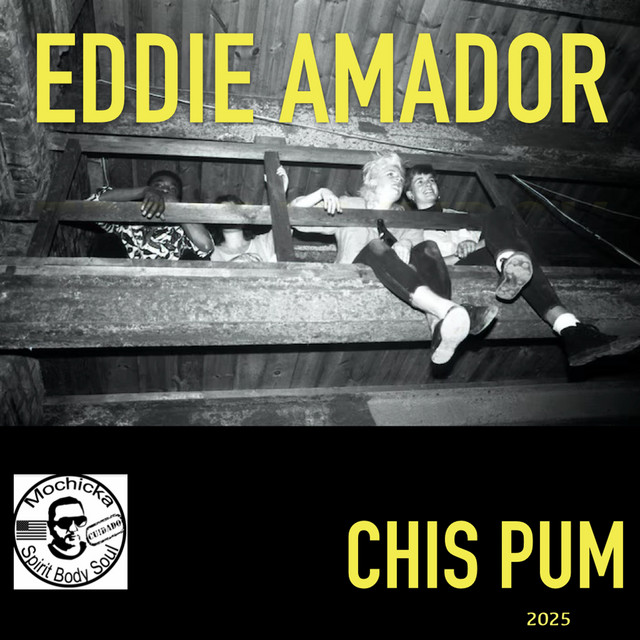 Chis Pum album art