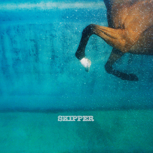 Skipper