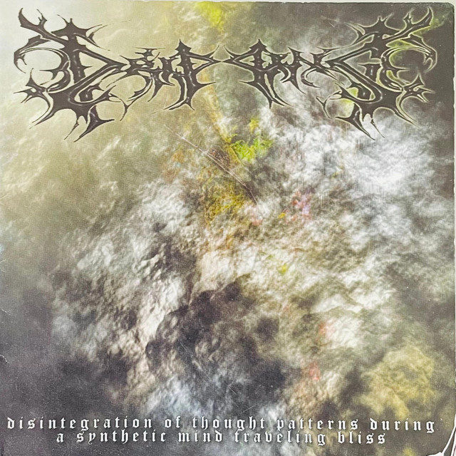 Disintegration of Thought Patterns During a Synthetic Mind Traveling Bliss cover art