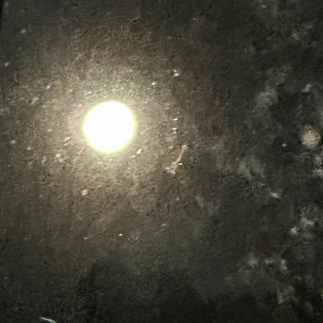 sometime cover art