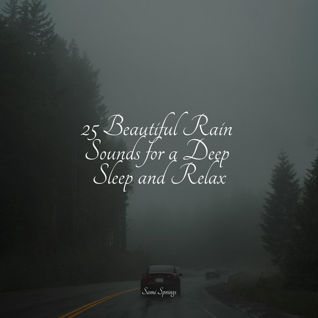 25 Beautiful Rain Sounds for a Deep Sleep and Relax - Album by Massage ...