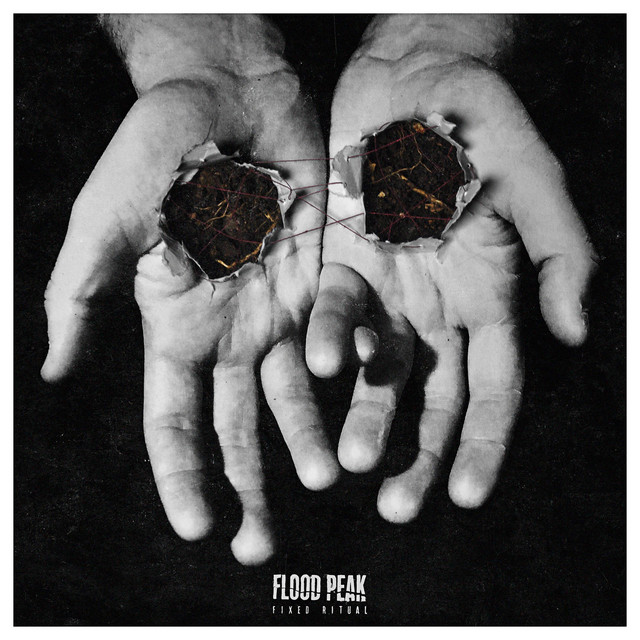 Fixed Ritual cover art