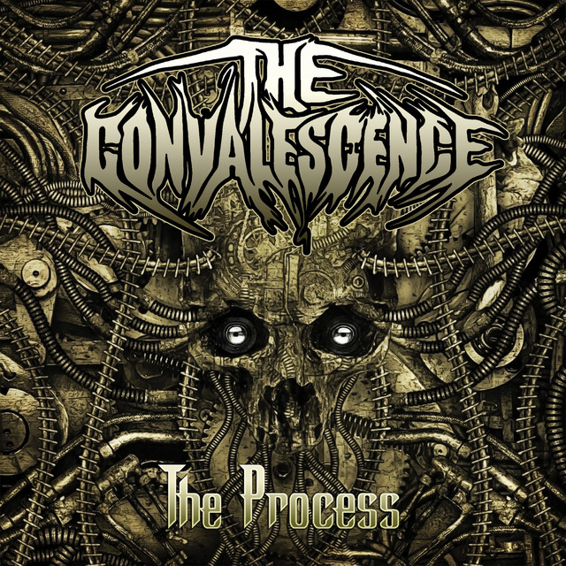 The Process cover art