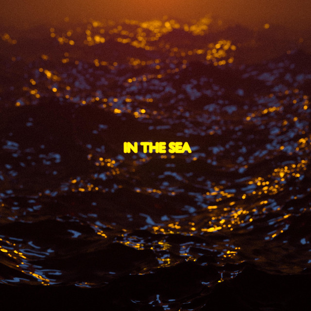 Обкладинка: In the Sea (I Am a Beast) - Live Rock — Disappeared Completely