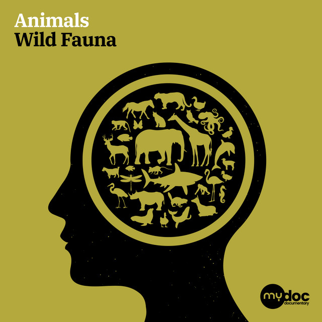 Animals - Wild Fauna cover art