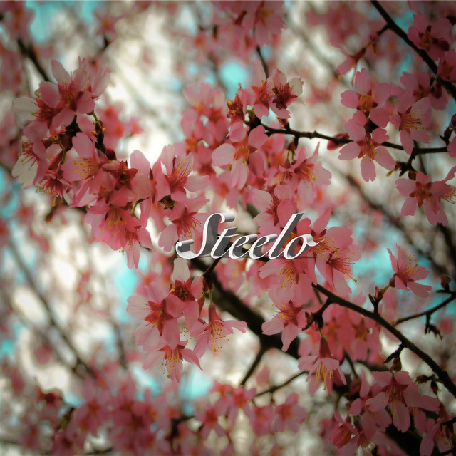 Steelo cover art