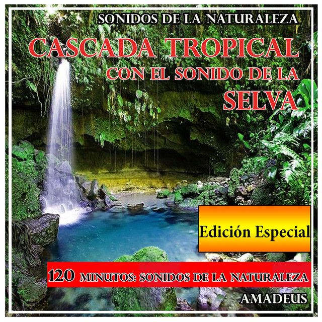 Cascada Tropical Con el Sonido de la Selva: Sonidos de la Naturaleza: Edición Especial cover art