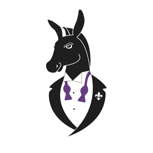 The New Orleans Swamp Donkeys Traditional Jass Band