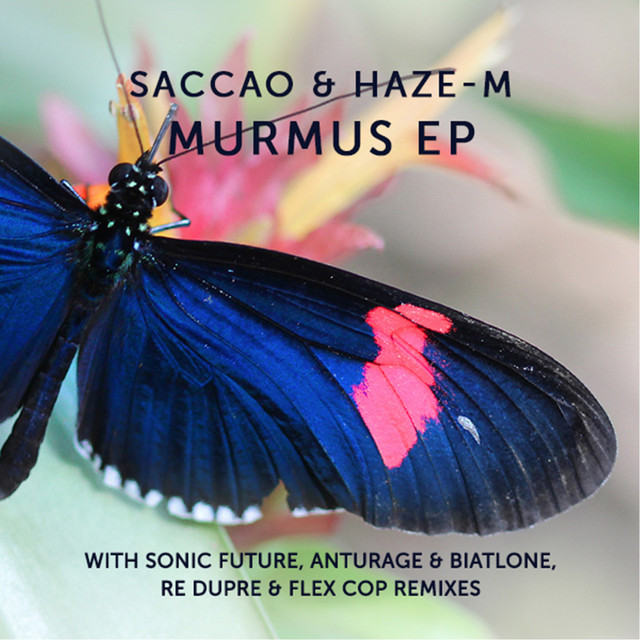 Murmus - Sonic Future Remix album art