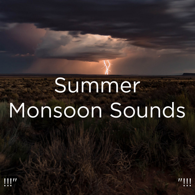 !!!" Summer Monsoon Sounds "!!! cover art
