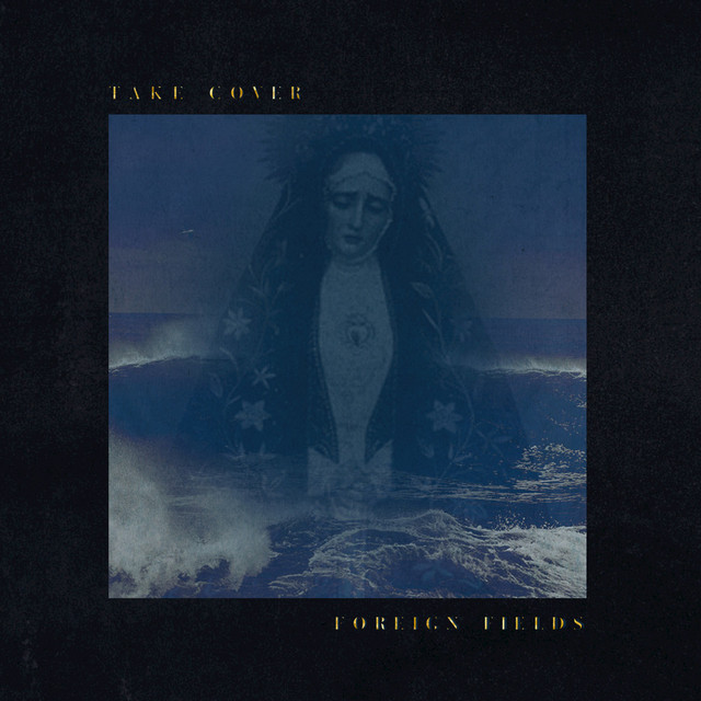 Take Cover cover art