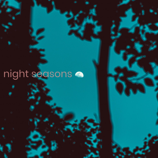 night seasons cover art