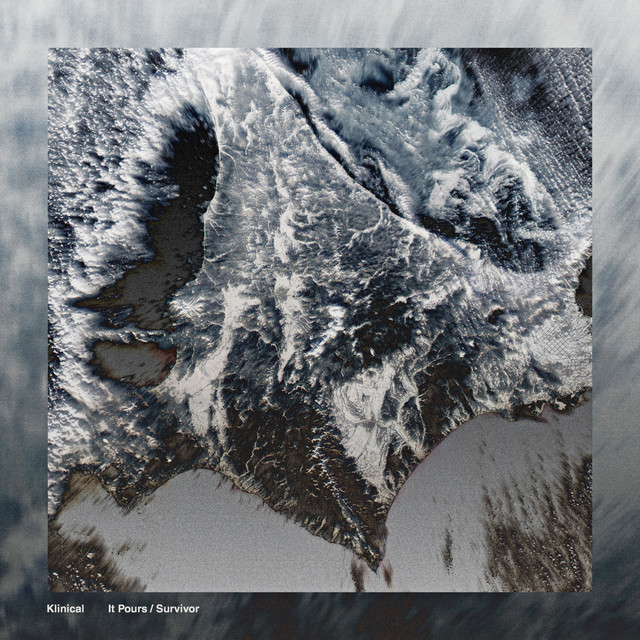 Survivor album art