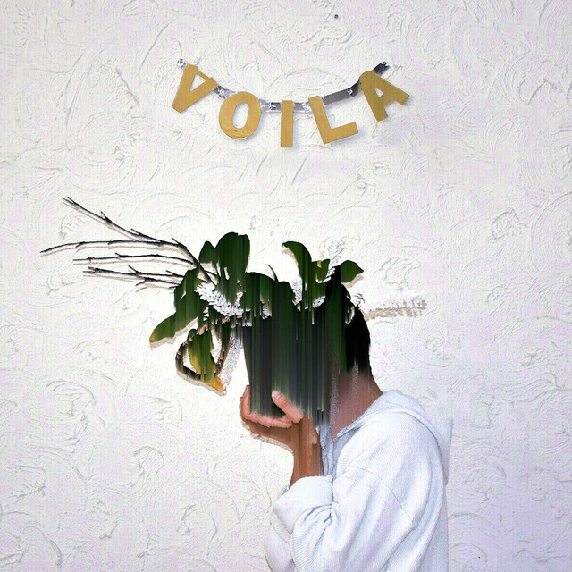 Voila cover