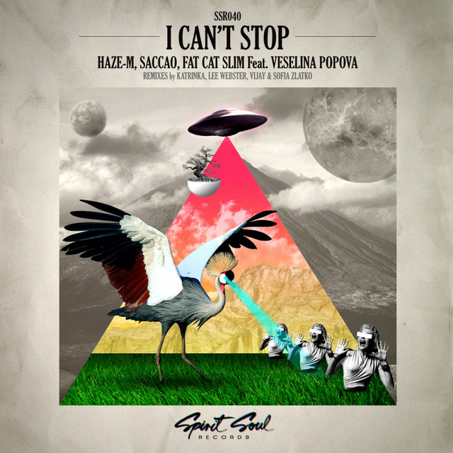 I Can't Stop cover art