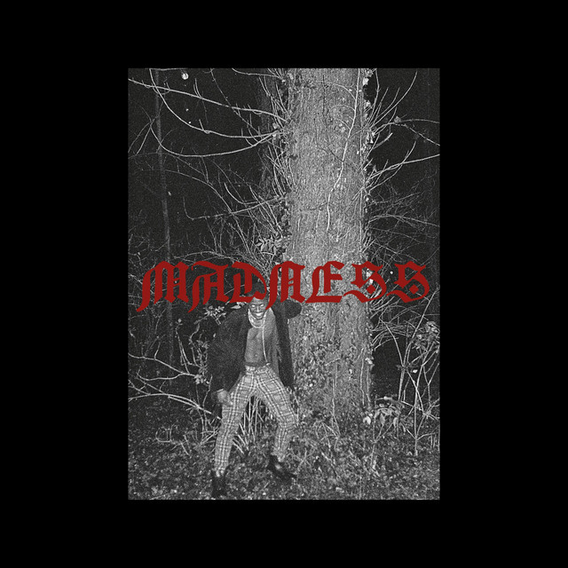 MADNESS cover art