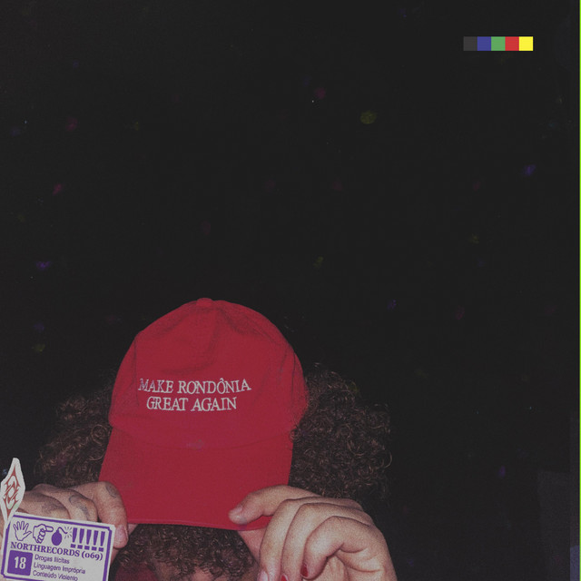 MAKE RONDÔNIA GREAT AGAIN cover art