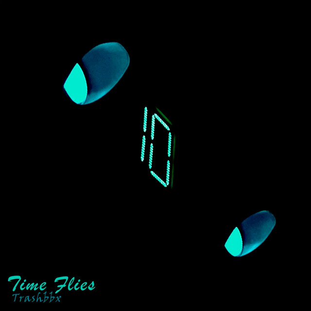 Time Flies cover art