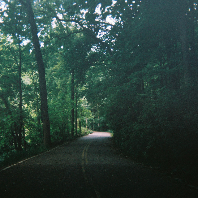 leave cover art