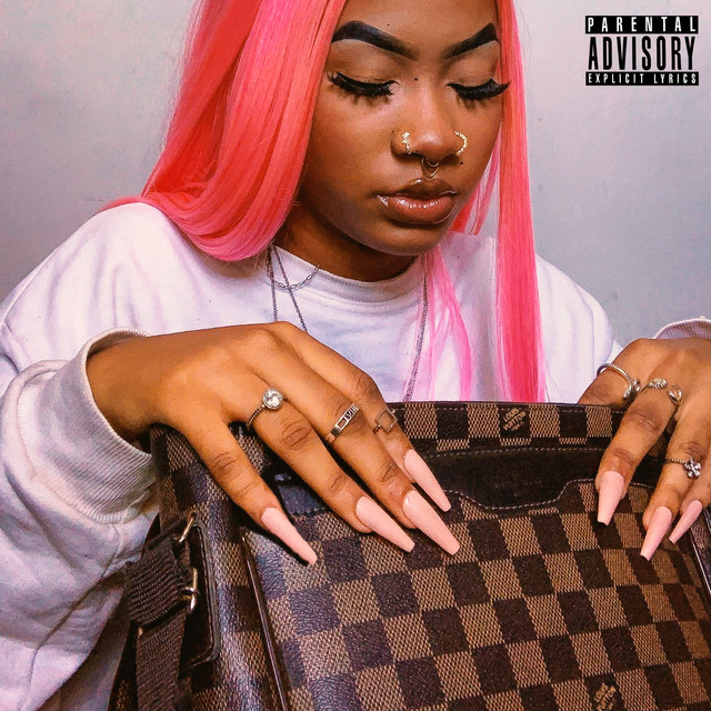 Bolsa da Louis V