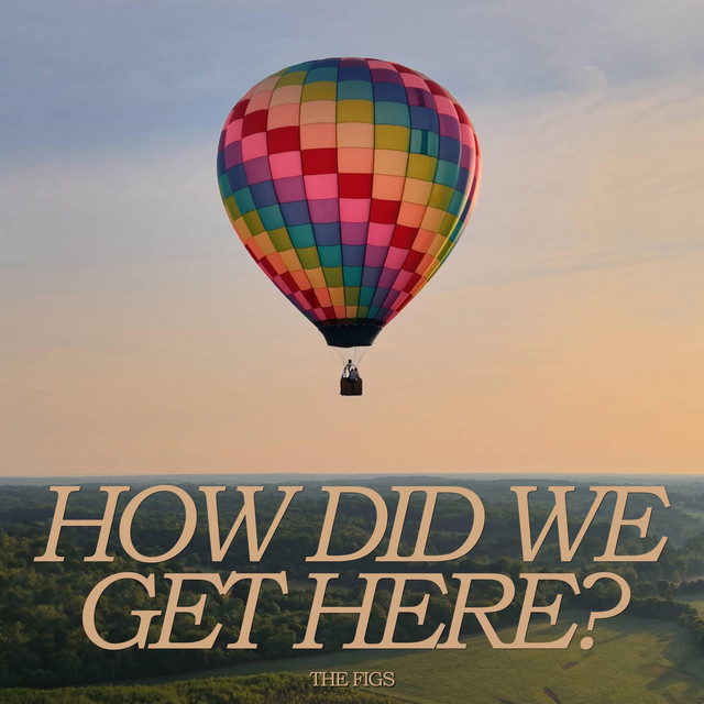 How Did We Get Here? cover art