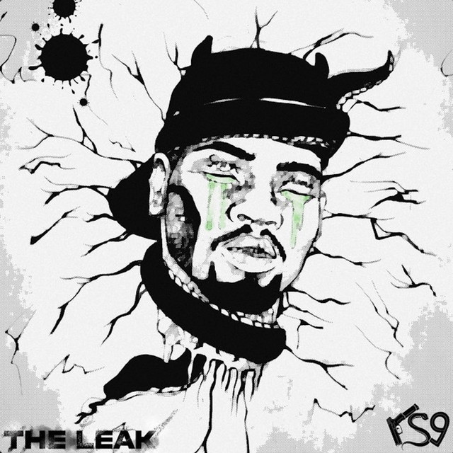 The Leak cover art