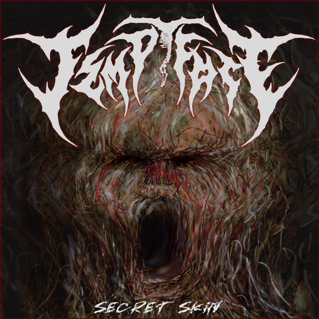 Secret Skin cover