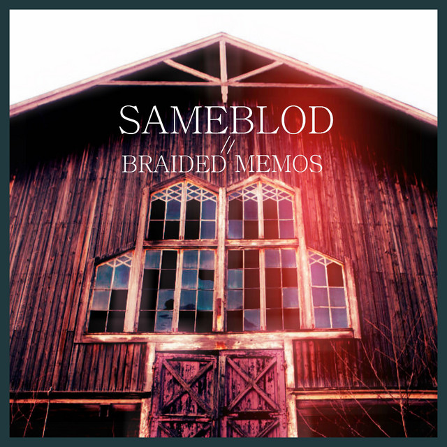 Braided Memos cover art