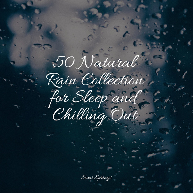50 Natural Rain Collection for Sleep and Chilling Out - Album by ...