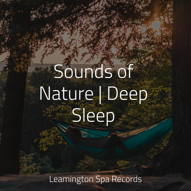 Sounds of Nature | Deep Sleep - Album by Sleepy Times | Spotify