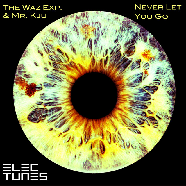 Never Let You Go - ENNE Rmx cover art