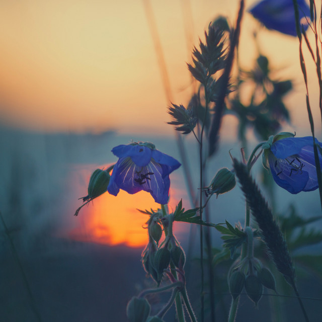 Enjoyable Daily Routine / Ambient Soothing Music, Yoga Experience, Sunrise Yoga cover art